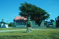 
DSC00449